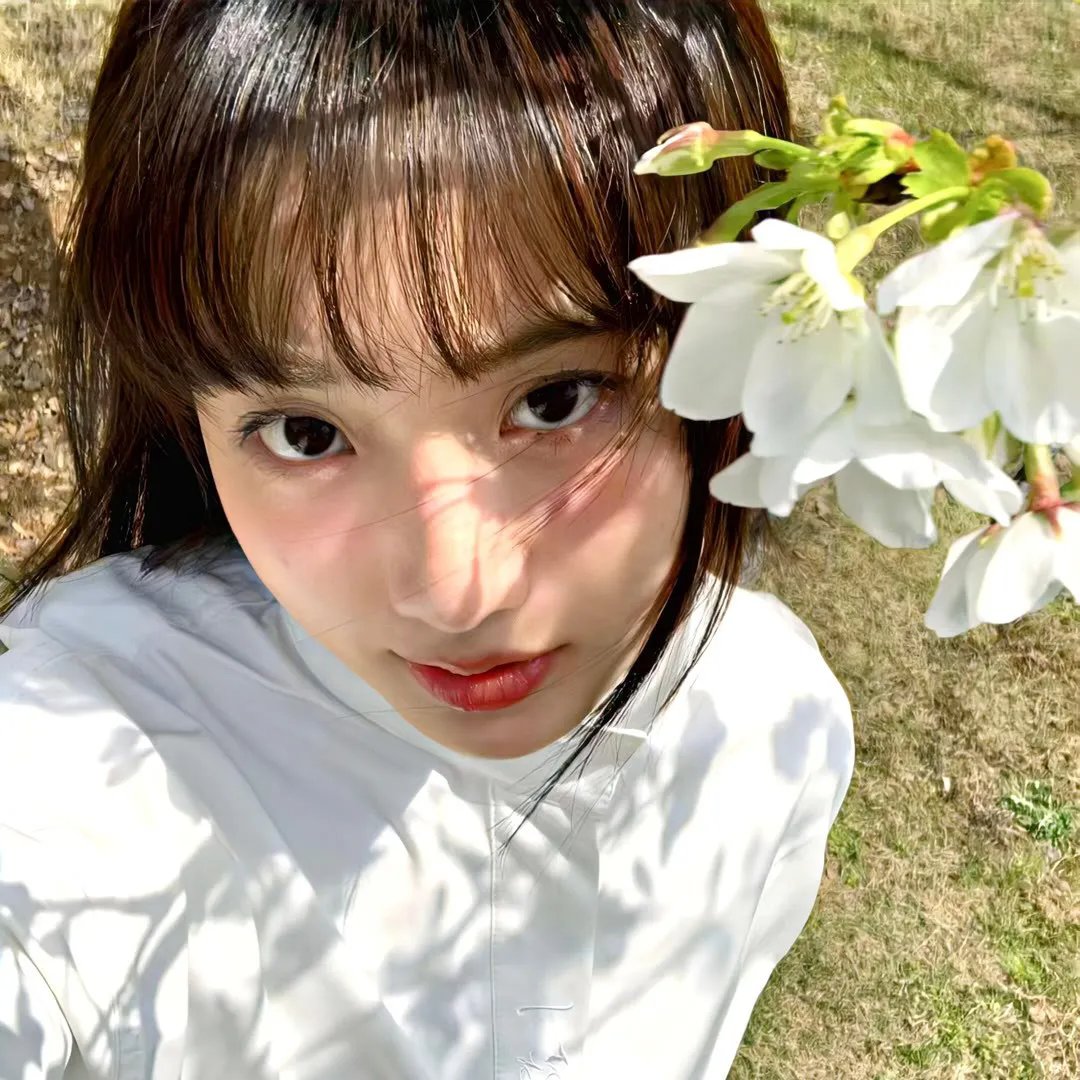 繁花落尽海报